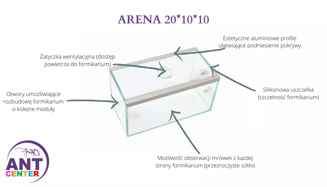 Arena do hodowli mrówek w domu od Antcenter