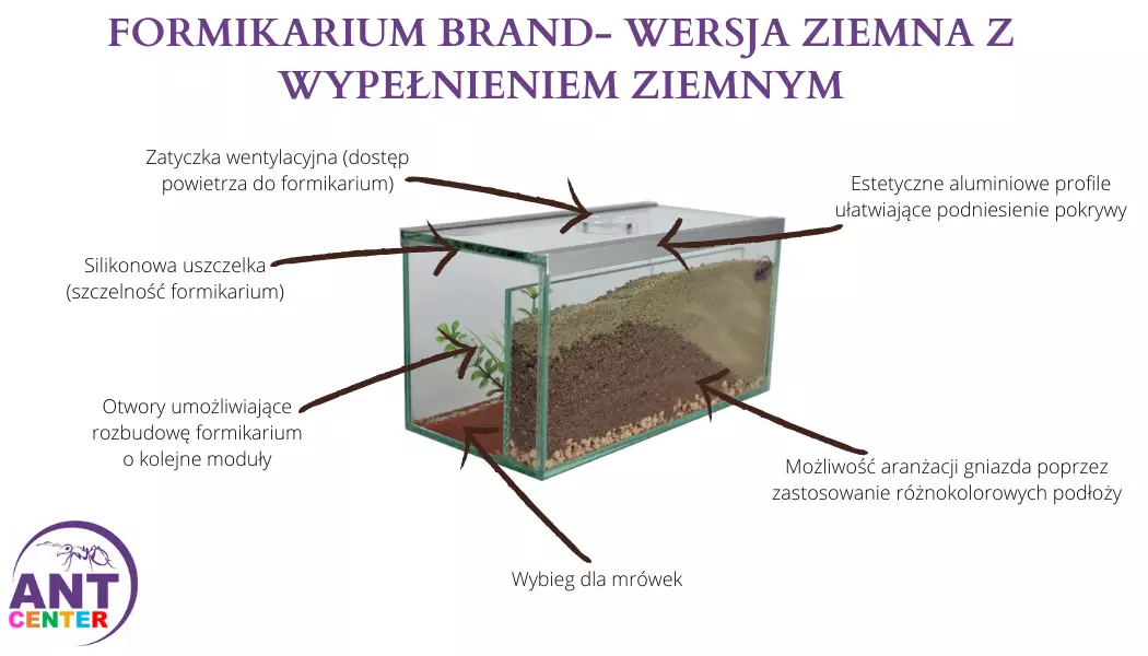 Formikarium dla mrówek ziemne