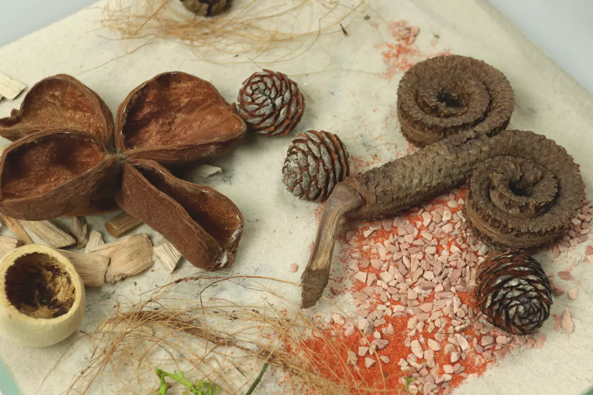 Palm ring - ozdoba do formikarium