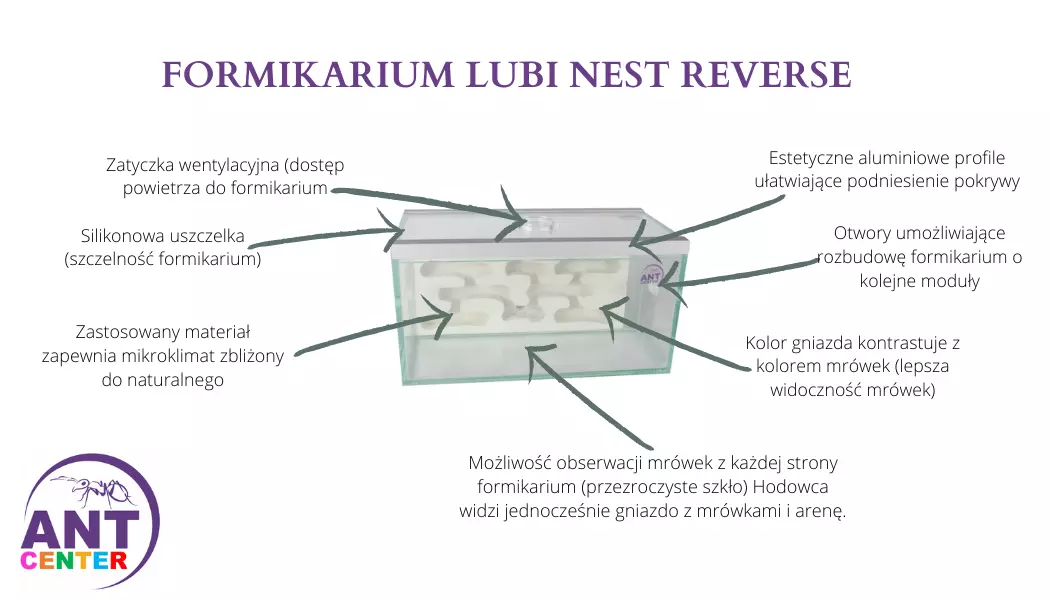 zalety-formikarium-lubi-nest-reverse-antcenter