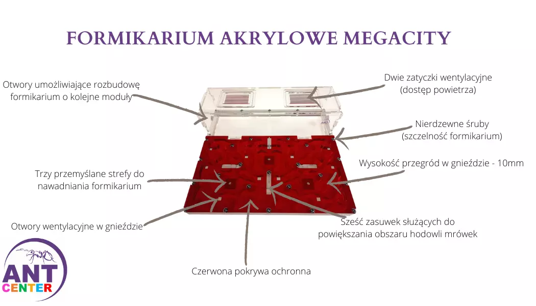 Farma mrówek Mega city