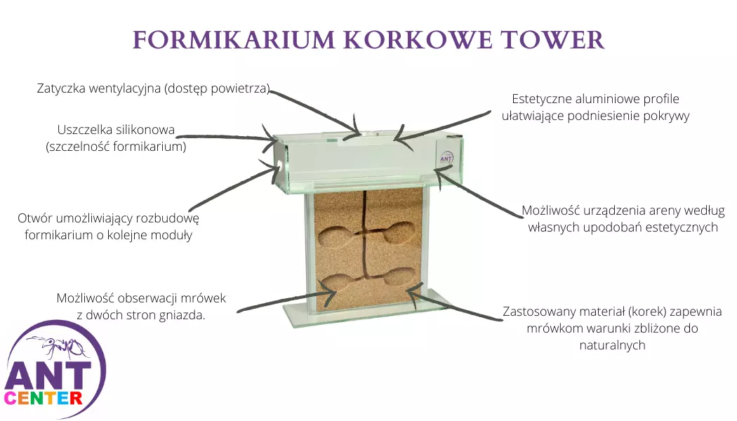Formikarium w kształcie litery T