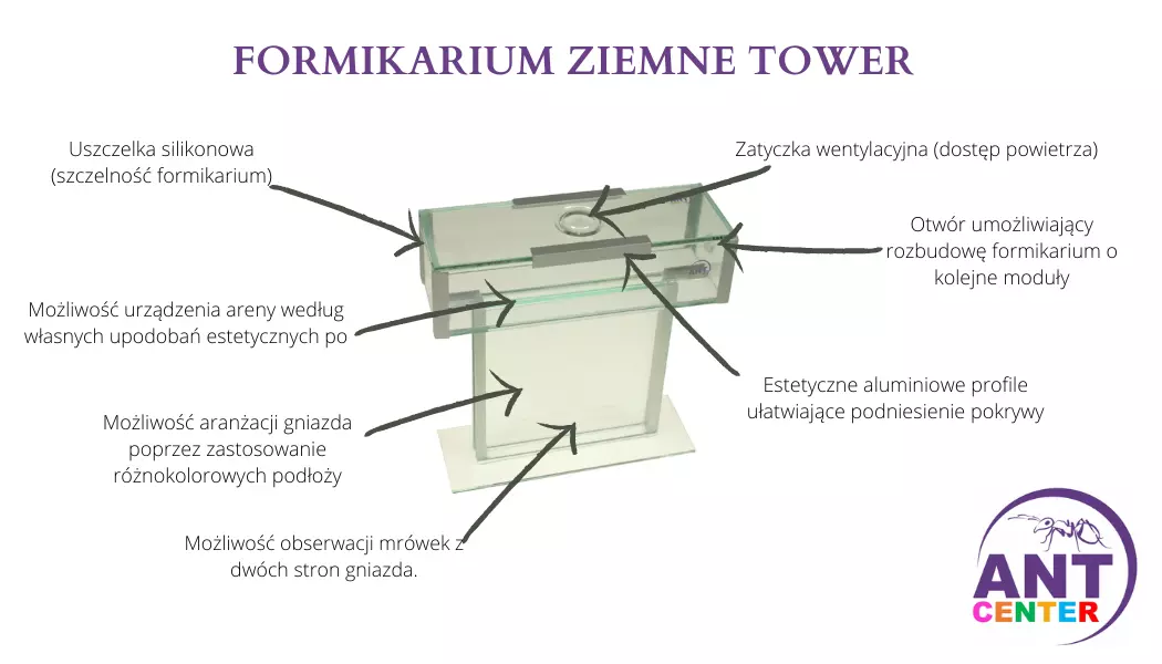 Forikarium dla mrówek Tower