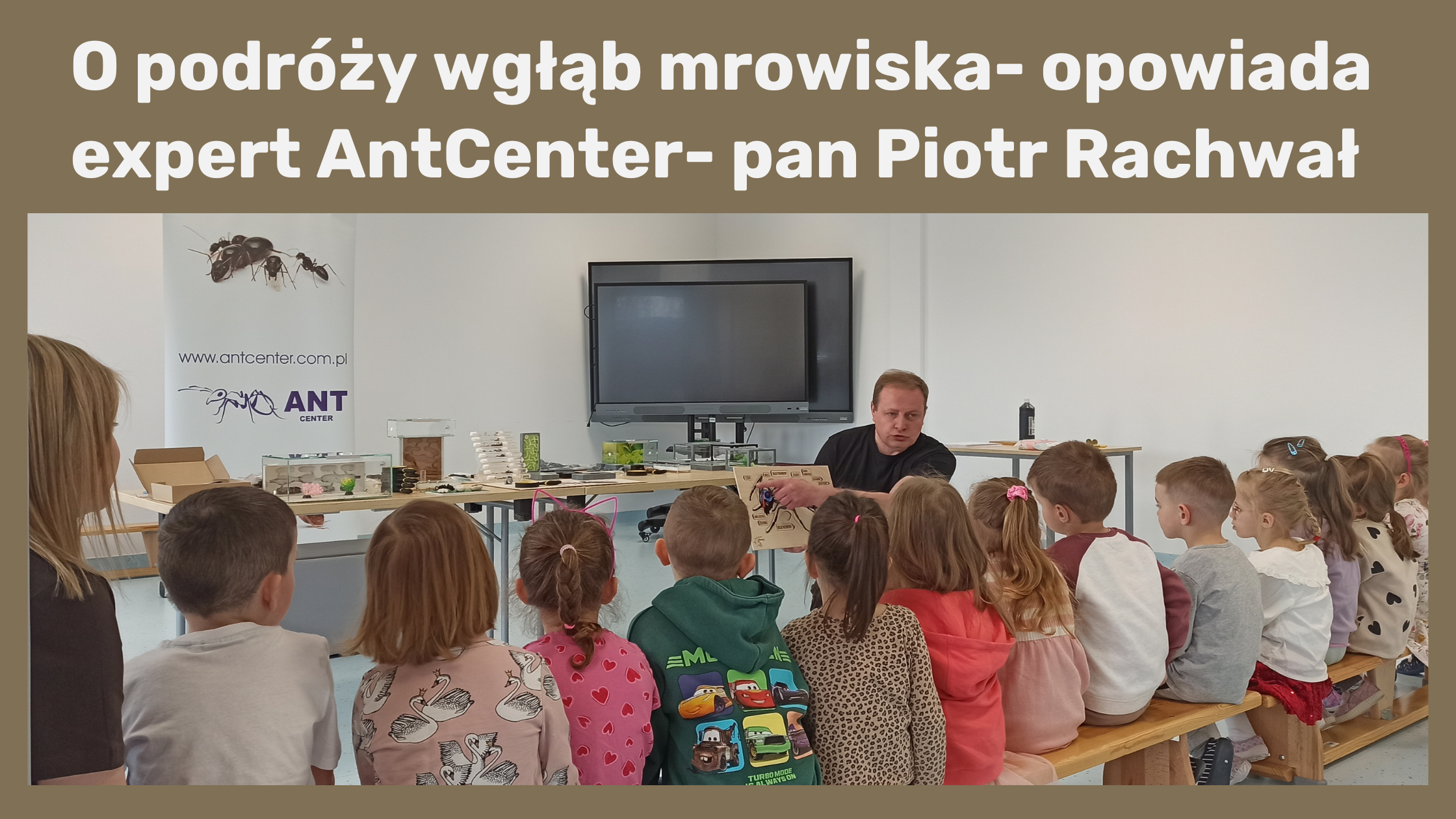 O mrówkach opowiada w przedszkolu expert AntCenter