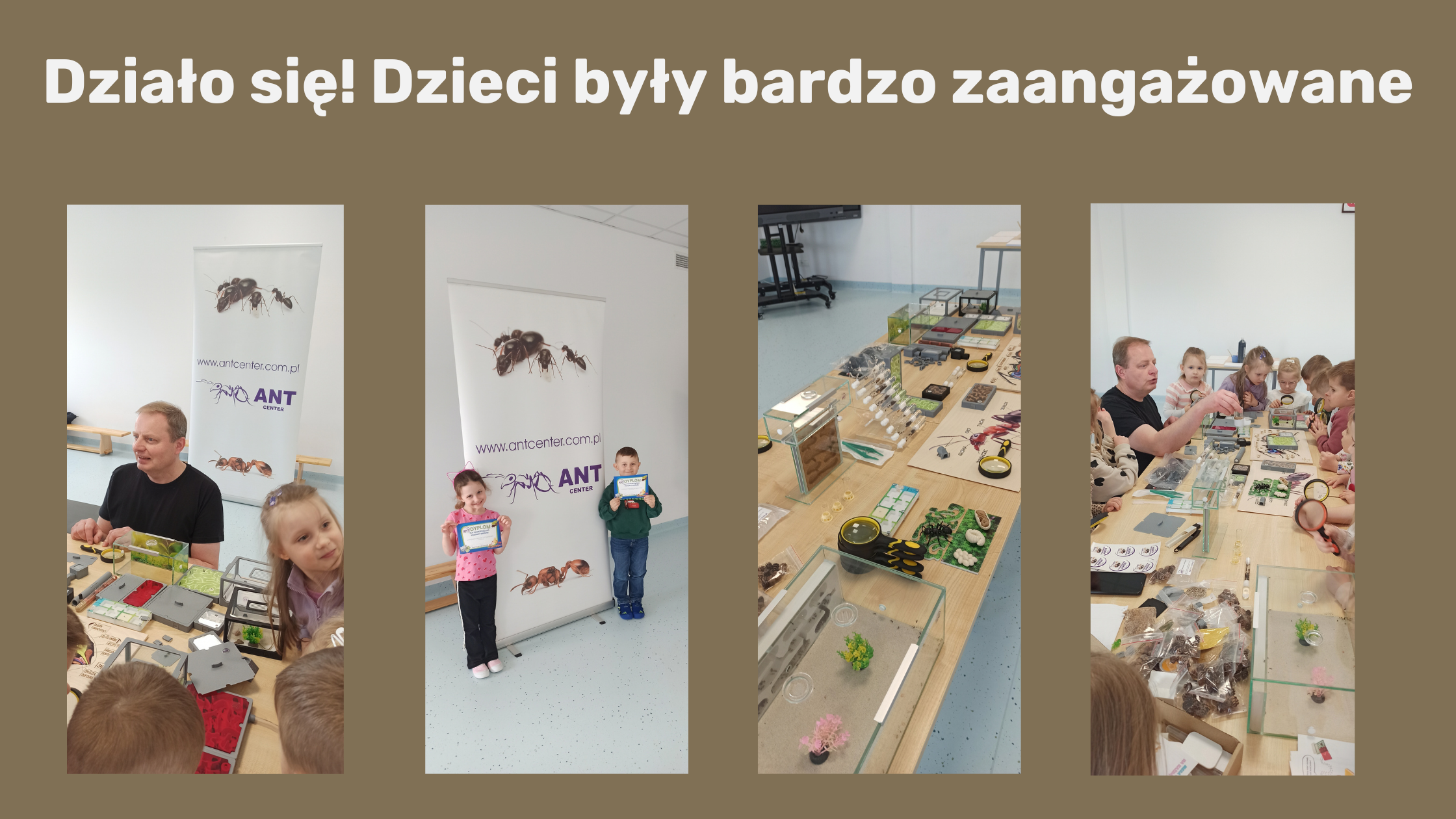 Dzieci aktywnie zaangażowane na warsztatach o mrówkach