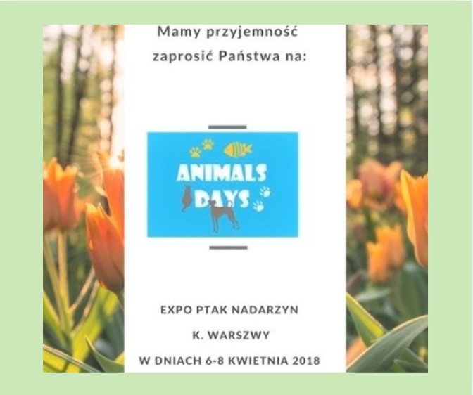 AntCenter na Animals Days 2018 – nasze formikaria i mrówki wśród tysięcy zwiedzających