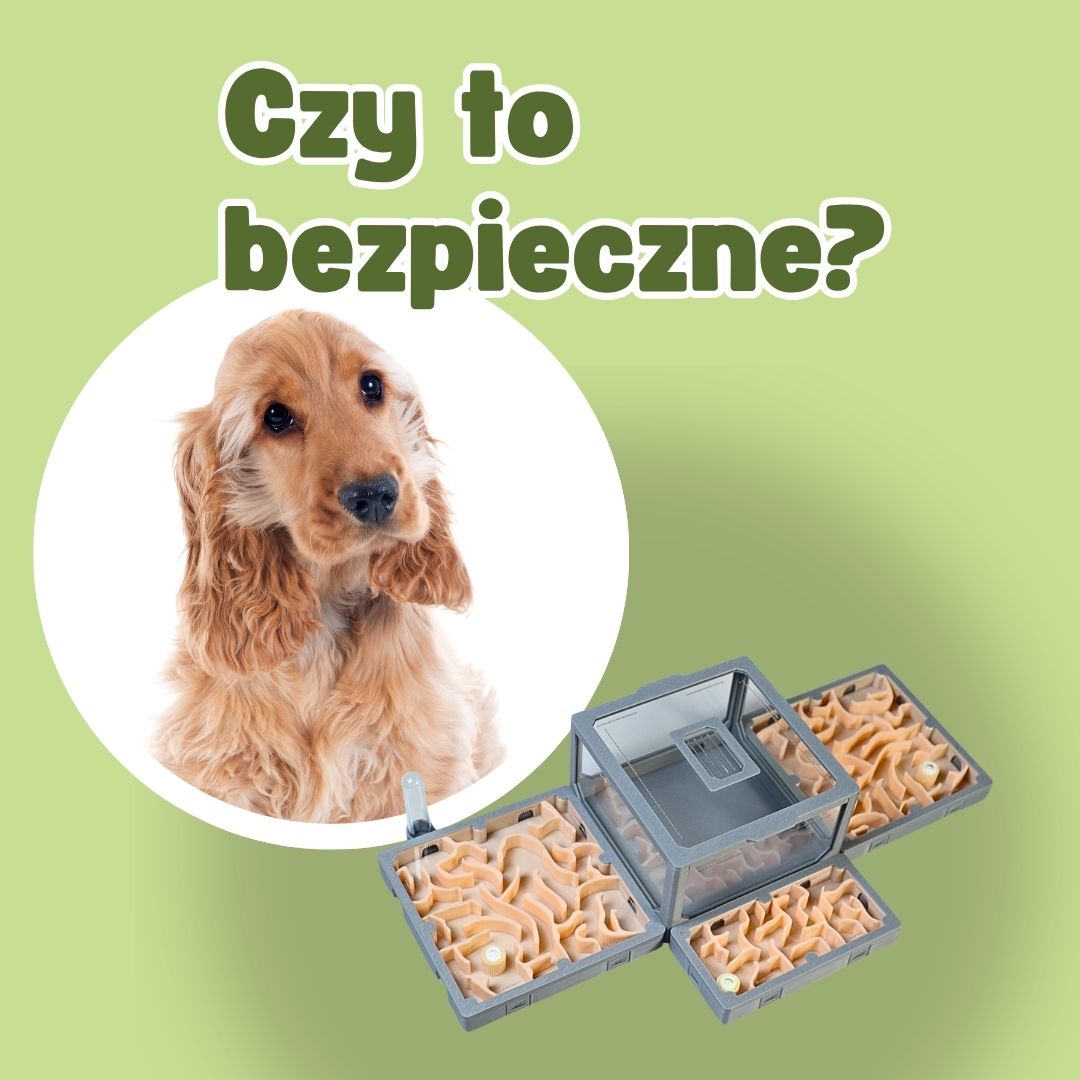 Mrówki w domu a pies i kot – czy hodowla mrówek jest bezpieczna przy innych zwierzętach?