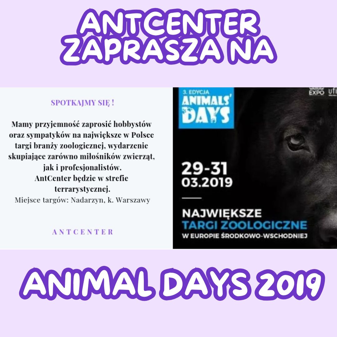 Zaproszenie na Targi Animals' Days 2019